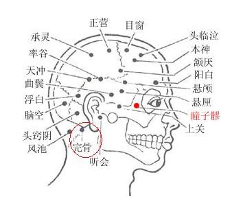 完骨 - 搜狗百科