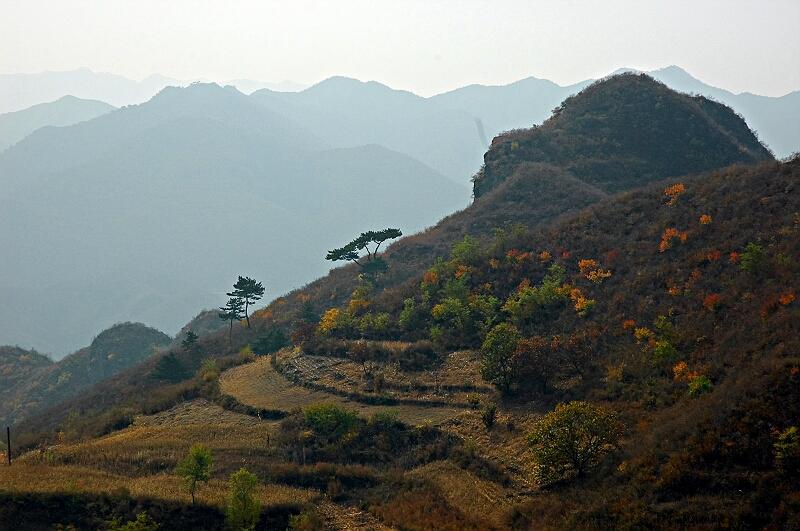 杨杖子村(辽宁省朝阳市凌源市杨杖子镇杨杖子村)