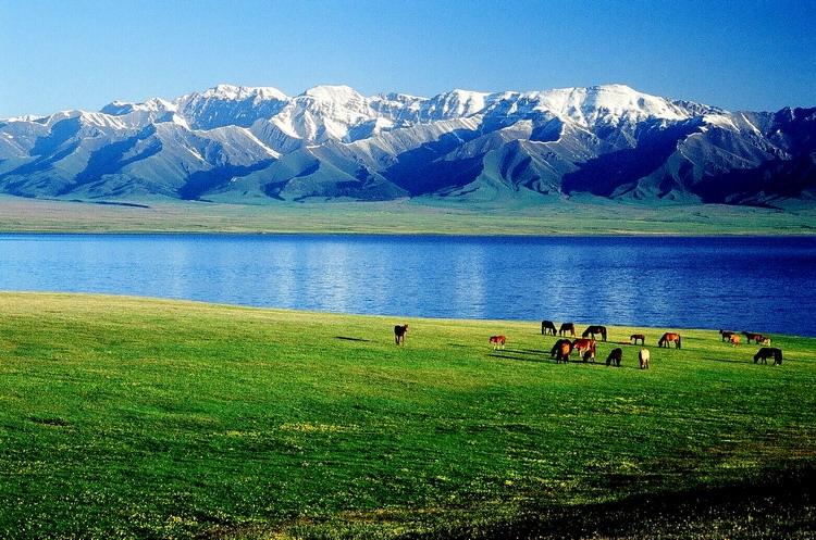 位于新疆东北部,东邻伊吾县,南接伊州区,西毗木垒哈萨克自治县,北与