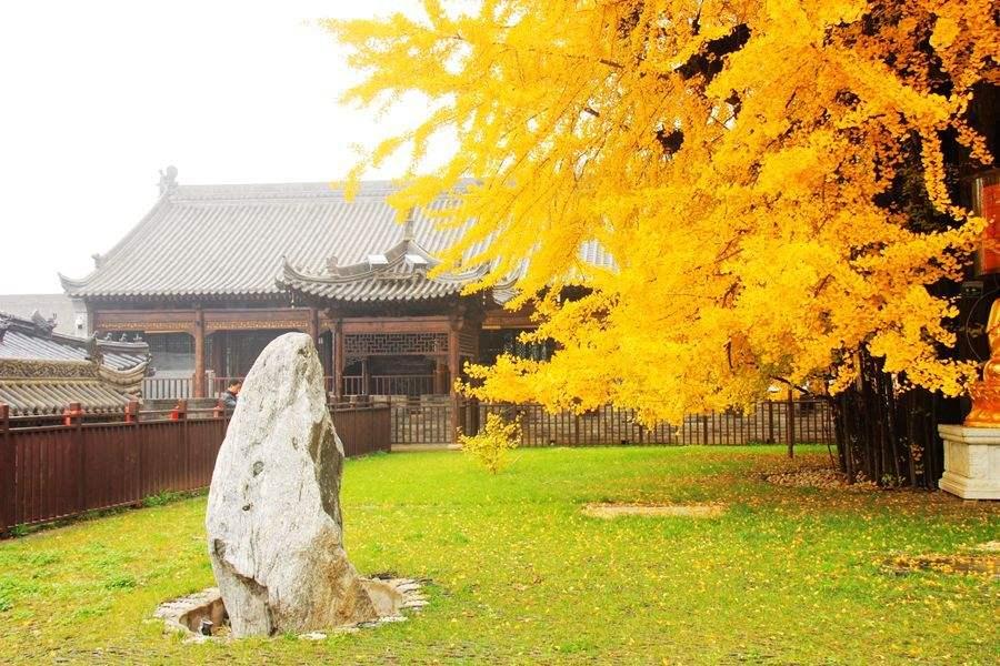 古观音禅寺