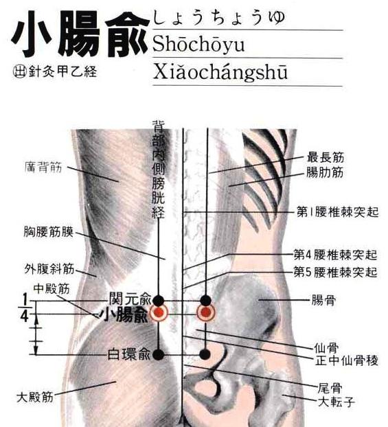 5寸处,当髂后上棘内缘与骶骨间的凹陷处取穴.