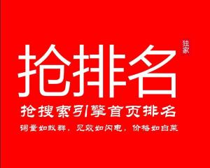 搜索引擎排名服务 300