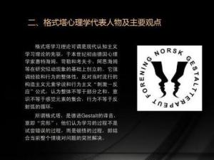 研究了顿悟学习;把格式塔心理学理论系统化韦特海默通过似动研