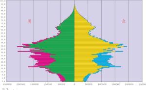 人口年龄结构_2016中国人口年龄结构图-五一假期 迎来婚庆高峰