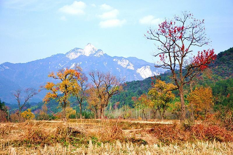 罗田县九资河镇gdp_罗田县九资河镇地图