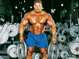 乔卡特_乔卡特收入