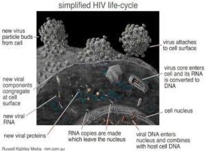 艾滋病防治知识