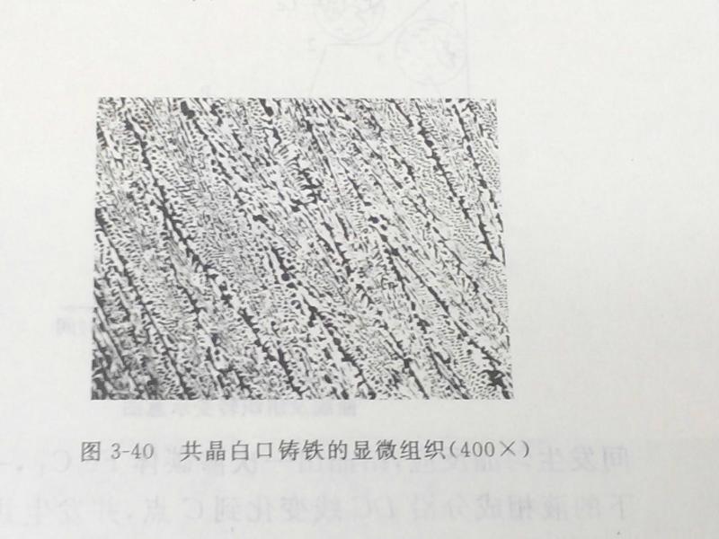 共晶白口铸铁