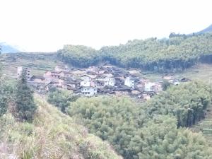 宝坑村人口_人口普查(3)