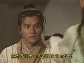 碧血剑(2000年香港TVB版林家栋主演电视剧)