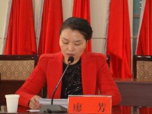 廖芳(环县人民政府副县长)