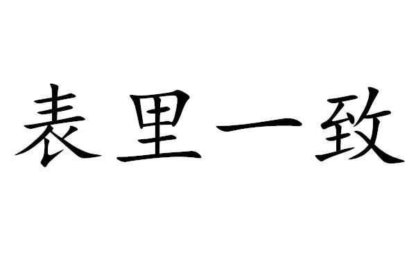 什么什么表里成语_山河表里(2)