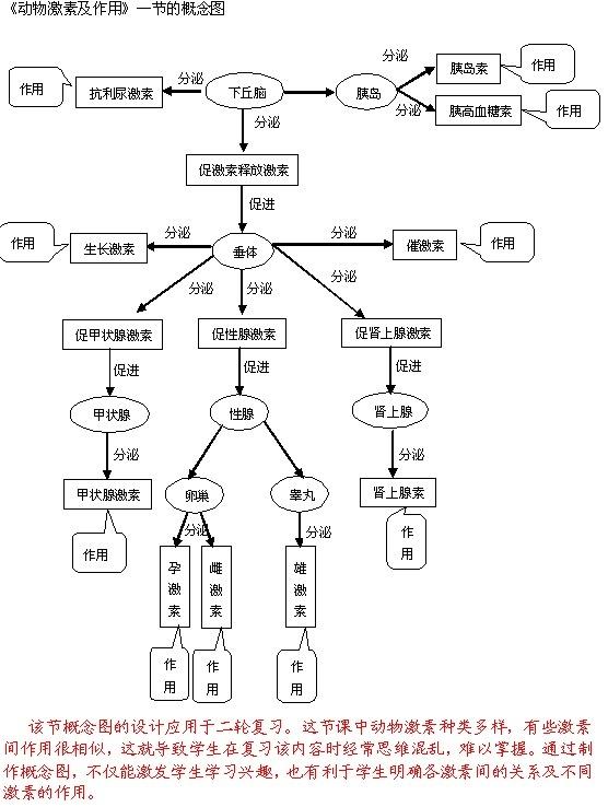 动物激素