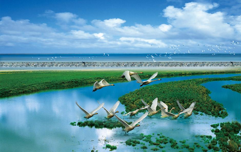 鄱阳湖湿地