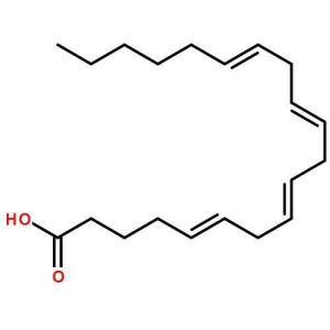 花生四烯酸
