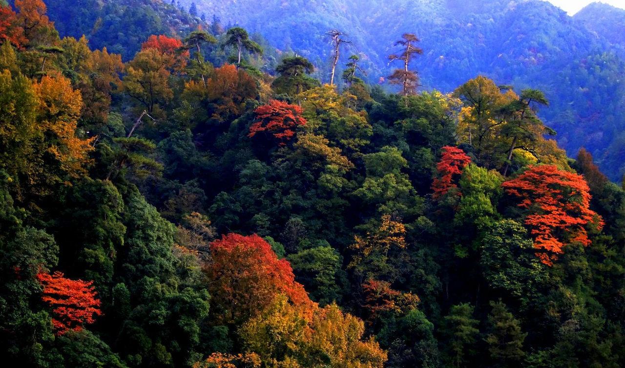 绩溪gdp_给力 绩溪经济社会发展迈上新台阶(3)