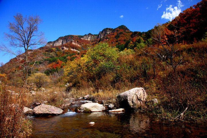 七里峪