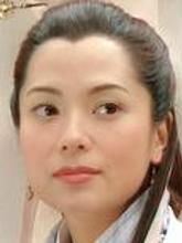 寻秦记(2001年郭羡妮主演电视剧)