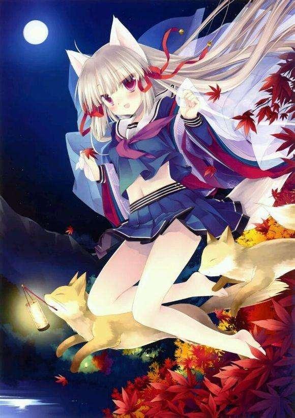 兽耳娘 搜狗百科