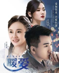 暖爱(2016年翟天临主演电视剧)