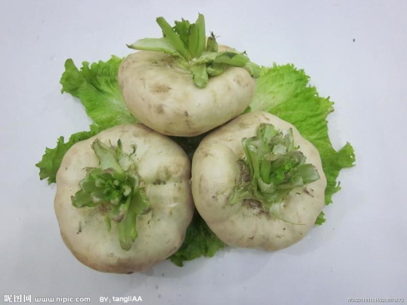 盘菜