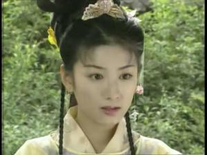 上错花轿嫁对郎(2000年聂远黄奕主演电视剧)