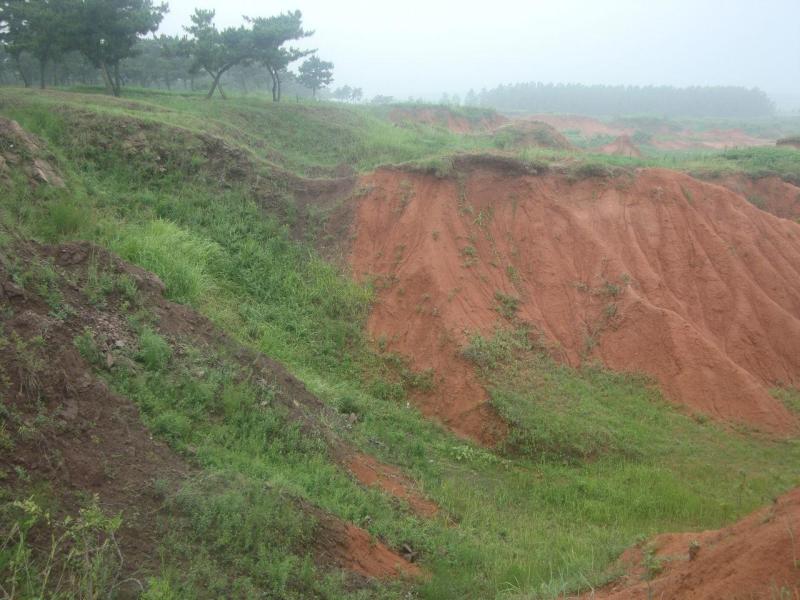 郯城地震断裂带是国内惟一的第四纪活断层地貌景观,站在马陵山西坡