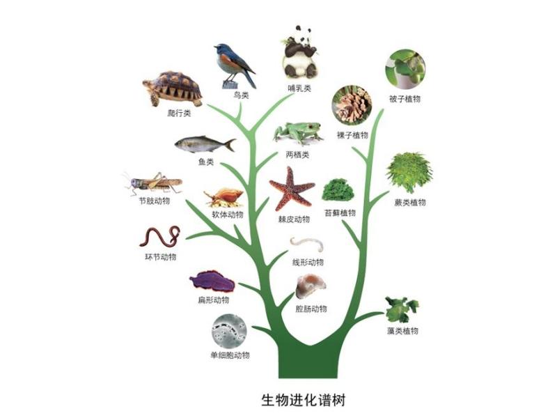 什么钓什么发的成语_成语故事图片