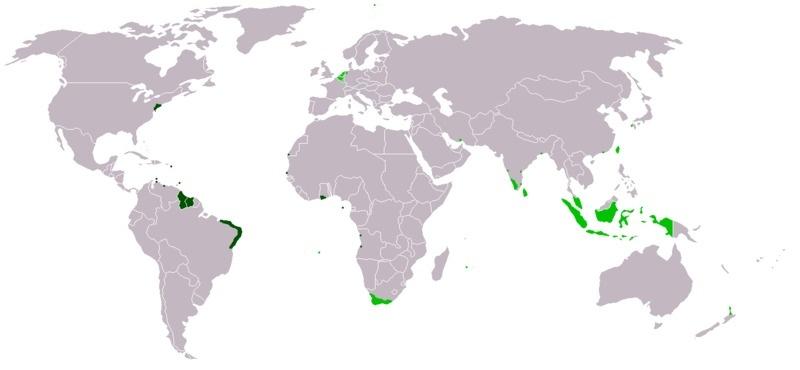 也称荷兰帝国或者荷兰海上帝国,包括从17世纪到20世纪,荷兰在海外建立