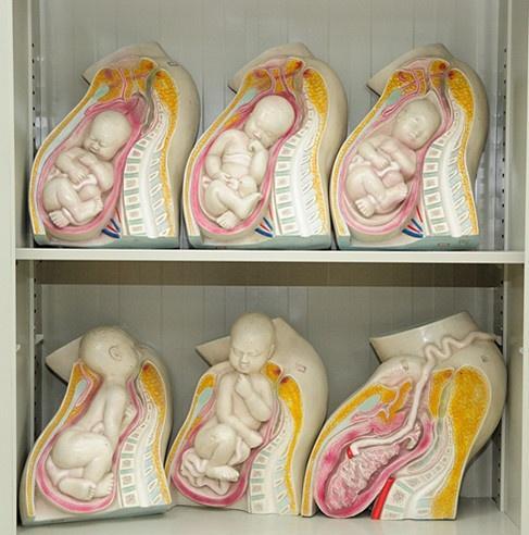分娩机转是指胎儿先露部分被动性地进行一系列适应骨盆平面的转动,以