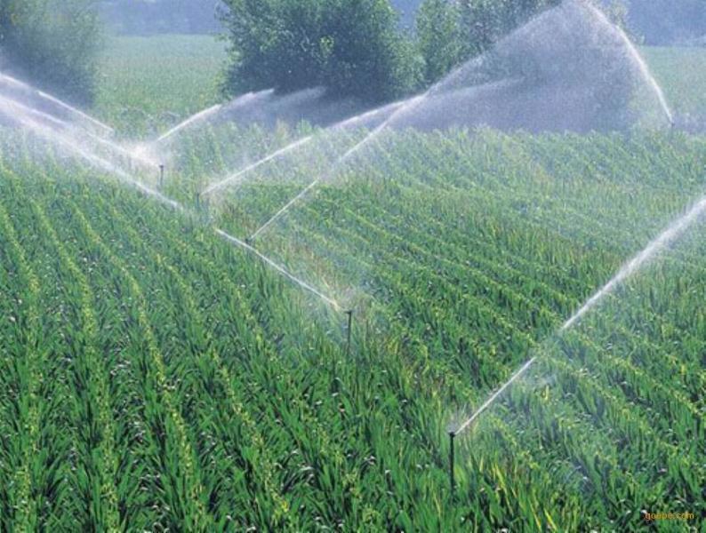 灌溉农业