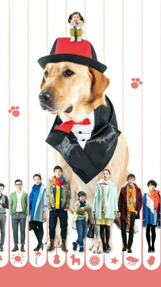 神犬小七