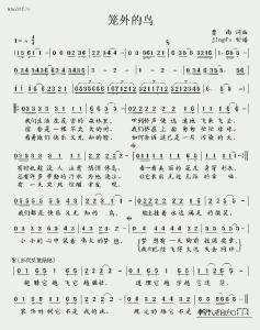 云中鸟曲谱_云中月圆简谱曲谱