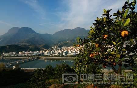 北与神农架林区毗邻,东南与黄粮镇,高阳镇相连,是兴山县新县城所在地