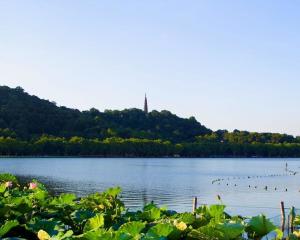 钱塘湖(4)钱塘湖,即西湖古称,位于浙江省杭州市区西面,景区总面积49