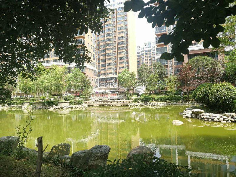桂竹园,位于湖北省武汉市武汉理工大学马房山校区内,在东院图书馆前面
