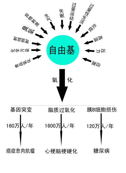 自由基反应机理怎么写 0