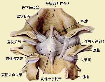 寰枢关节脱位