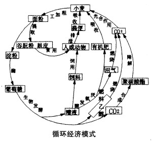 循环经济