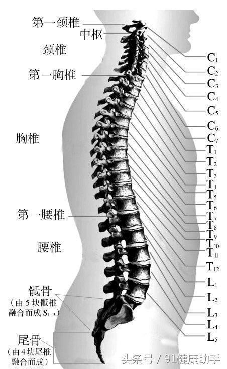 胸椎病