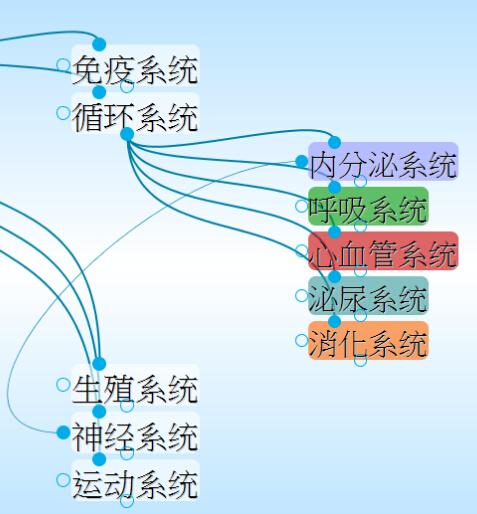 人体九大系统
