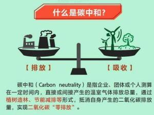 碳中和