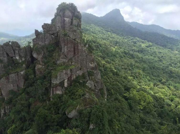 距海口165公里,东面50公里处是枫木鹿场与枫木林场,南部是海南五指山