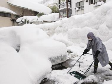 最近极寒天气 0