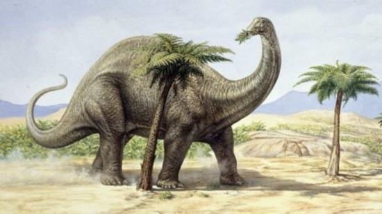 迷惑龙(学名apatosaurus),之前被称为雷龙,是梁龙科下的一个属,生活