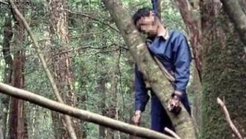 梦见树林的女尸体，梦境背后的深层含义与解析