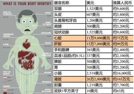 人体器官价位表