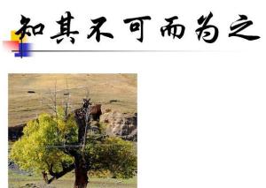 知其不可而为之