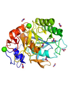 酶的化学本质是蛋白质(protein)或rna(ribonucleic acid,因此单体酶