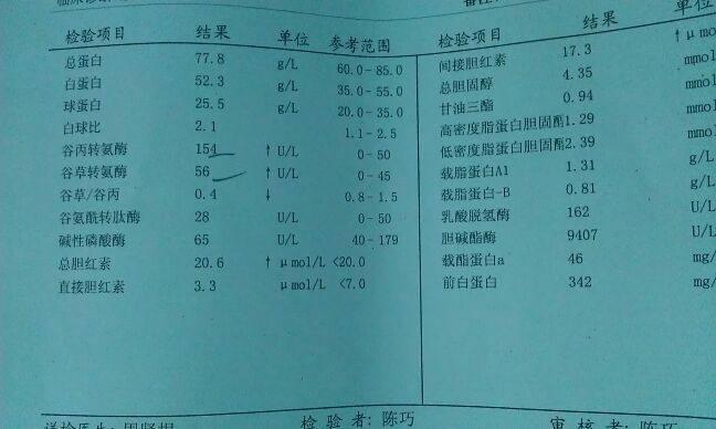 谷草转氨酶偏高